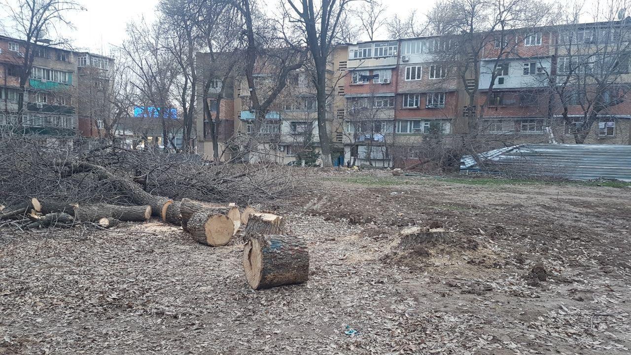 Грубые нарушения моратория и реакция ответственных органов.